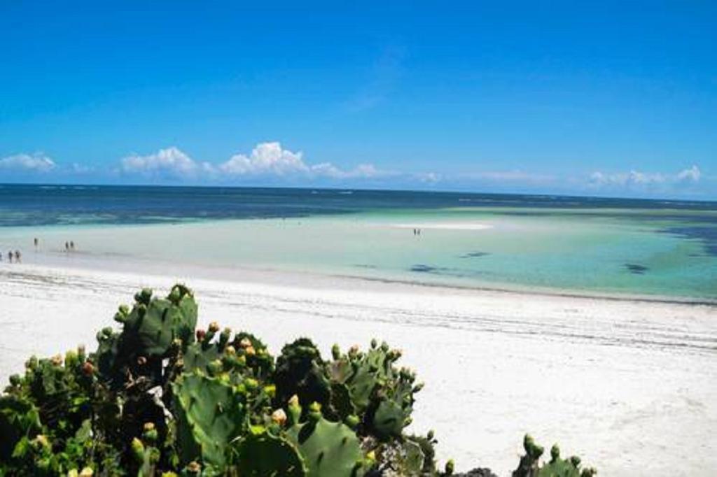 Garoda Resort Malindi Buitenkant foto